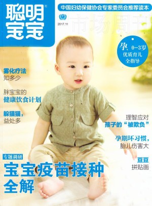 聪明宝宝杂志订阅